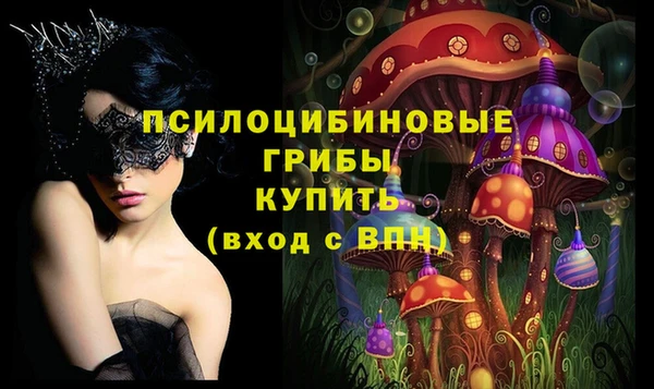 ГАЛЛЮЦИНОГЕННЫЕ ГРИБЫ Михайловск